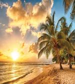 Exotic Sandy Beach
