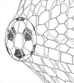 Soccer Ball in Net
