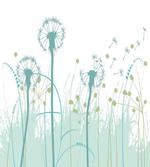 Floral Botany Blooms