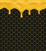 Honeycomb Dripping Beehive