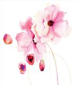 Pink Flower Petals