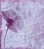 Flower Romance