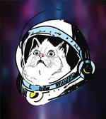 Kitten Astronaut Cosmic