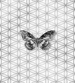 Geometric Butterfly