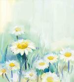 Daisy Flower Field Art