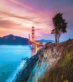Golden Gate Bridge Tree