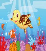 Baby Turtle Fishes