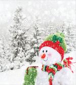 Snowy Woodland Holiday