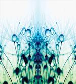 Floral Dandelion Arrangement
