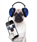Music Listening Dog Phone