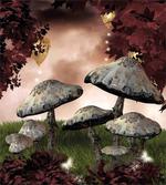 Fairy Forest