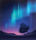 Aurora Borealis Tree