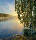 Sunny Misty Lake Summer