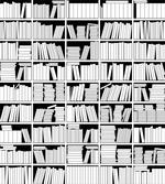 Monochromatic Bookshelves artwork