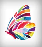 Colored Butterfly