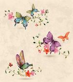 Wings Moth Transformation