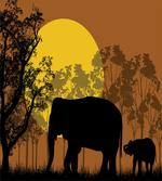 Animals and Trees