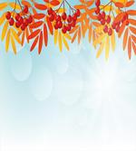 Red Fruits on Branches