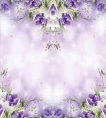 Spring Flower Bloom