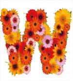 W Capitalized Bouquet