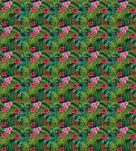 Hibiscus Plumeria Monstera