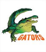 Wild Alligator Crocodile