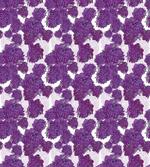 Allium Flower Petals