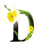 D Silhouette Daffodils