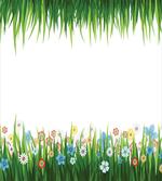 Grass and Flowers