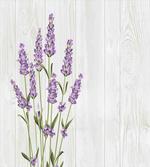 Herbal Bouquet on Wood