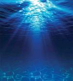 Sandy Seabed Sea Scene