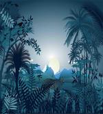 Tiger in Hazy Rainforest artwork