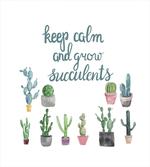 Grow Succulents Plant Pot