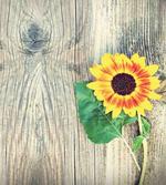 Wood Board Bouquet