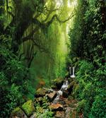 Idyllic Forest Design