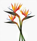 Ombre Tropical Garden