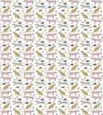 Leopards