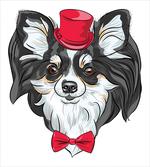 Puppy with Hat and Bow