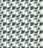 Tropical Brazil Botany