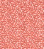 Hand Drawn Strokes