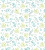 Drawings of Hawaiian Plants