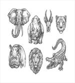 Hand-Drawn Zoo Animals