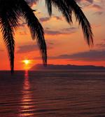 Sunrise on Sea and Palms