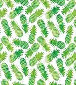 Vintage Art Watermelon