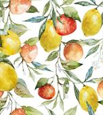 Orange Clementine Tree
