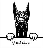 Peeking Big Breed Dog
