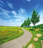 Green Field Road Rural artwork