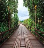 Wooden Bridge Exotic