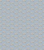 Little Titmouse Birds
