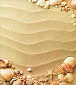 Sand with Sea Shells